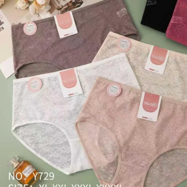 Culotte Taille Haute Dentelle Confort Plus