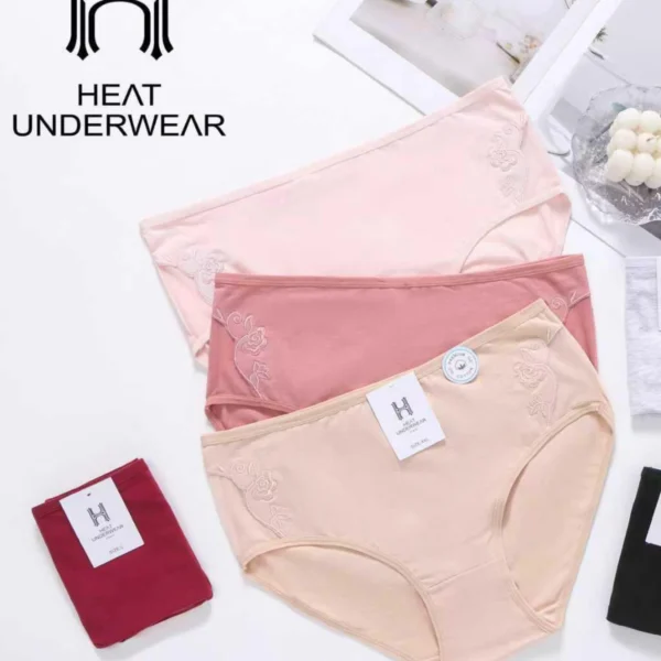 Heat Underwear – Culotte Coton Brodée Confort Luxef